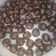 Cooksnap dari Alexa de Cokrie untuk resep Cornflake chocolate cookies