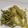 Lion's cooksnap of when they made Filete de pescado en salsa de cilantro.