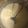 acoton3708's cooksnap of when they made White Sauce.