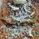 Hiral Shah's cooksnap of when they made ચીઝ વેજી. ઉત્તપમ (Cheesy Vegie Uttapam Recipe In Gujarati).