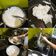 Cooksnap của Bánh Bèo khi họ làm theo món Cách làm bún tươi