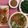 Cooksnap của Nguyễn Thu Hà khi họ làm theo món Tôm xóc tỏi