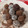 El cooksnap de El huevo cocinero cuando hizo Trufas de chocolate y leche condensada 🍯con choco-coco.