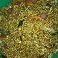 Cooksnap dari Iiq Halis Rifqiyah untuk resep Mie goreng ala solaria