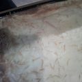 Cooksnap από Χριστιδης Χρήστος στη συνταγή Παστίτσιο