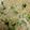 Bee's cooksnap of when they made Chicken & Broccoli Alfredo.