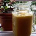 ÝTumpa Bose's cooksnap of when they made ম্যাঙ্গো মিল্কশেক(Mango milkshake recipe in Bengali).
