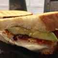 Diana Nelson's cooksnap of when they made Easy Buffalo Turkey Panini.