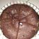 Cooksnap dari Rizqi Aulia Fitriani untuk resep Brownies magicom ala anak kost