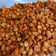 Cooksnap dari Nur untuk resep Kacang Bawang Santan⭐