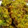 Cooksnap dari Nina kusuma untuk resep Dadar jagung kriuk khas resto manado