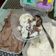 Cooksnap dari Mitha Tanjung untuk resep Chocolate Gelato Homemade
