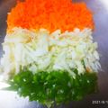 Aparna Nilesh's cooksnap of when they made तिरंगी सालाद (tiranga salad recipe in marathi).