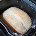 El cooksnap de yessenia lopez cuando hizo Pan rápido en panificadora Moulinex Pain Doré.