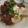 Cooksnap dari Stephania Ichan Astrid untuk resep Beef bowl (Gyudon) halal