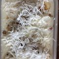 Cooksnap của Phạm Đạt khi họ làm theo món Kem Chuối