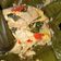 Cooksnap dari Ryana Dhewi untuk resep Pepes Tahu Jamur Tiram