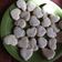 El cooksnap de mili cuando hizo Galletitas de limón y glasé.