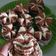 Cooksnap dari Pawon MAK ER untuk resep Bolu Kukus Pandan #pr_recookanekabolkus