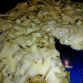 El cooksnap de Mario H. Davi cuando hizo Pizza Fugazzeta con queso.