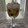El cooksnap de Gustavo Estevez cuando hizo Lemon Pie en copas.