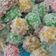 Cooksnap dari titis ciul untuk resep Jajanan pasar klepon