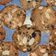 Cooksnap dari Yesi Hartina Annesta untuk resep Chocolate Chip Almond Cookies / Monster Cookies / Chewy Cookies