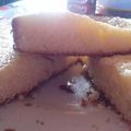 El cooksnap de MikaDj Love cuando hizo Tarta de limón super fácil .