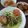 Cooksnap dari yantie untuk resep Soto Bening Ayam Kampung