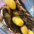 El cooksnap de Kikue Shima cuando hizo Asado de tira al horno.