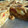 El cooksnap de laura cortés cuando hizo Tarta de caballa y calabaza.