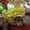 Tina Gaydos's cooksnap of when they made Mississippi Crockpot Roast.