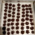 Cooksnap dari Puspita Imani untuk resep Semprit Coklat (Fatmah bahalwan)