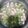 Cooksnap dari Frizka Farah Octiva untuk resep Bening oyong tahu baso