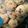 Niharika Jalan's cooksnap of when they made Rava laddu.