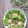 Violet Azalea's cooksnap of when they made Homemade dumpling wrapper.