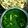 Shrabanti Banik 's cooksnap of when they made পালং পনির (palak paneer recipe in Bengali).