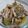 Cooksnap dari eva meylani untuk resep Ayam Cabai Hijau