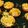 Samita Sar's cooksnap of when they made আলু কটোরি ফ্রুট চাট(aloo katori fruit chat recipe in Bengali).