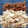 Sangita Vyas's cooksnap of when they made પાપડી ગાંઠીયા.