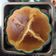 wenwen Huang 的 蜂蜜蛋糕舒芙蕾 cooksnap