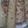Raduma Jamse (0716271944)'s cooksnap of when they made Soft layered chapatis.