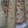 Raduma Jamse (0716271944)'s cooksnap of when they made Soft layered chapatis.