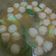 Cooksnap dari Lia Maharani untuk resep Bakso Kuah Pakcoy