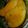 El cooksnap de Noemi cuando hizo Naranja confitada😋🍊.