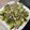 El cooksnap de Sandra RO cuando hizo Wok de langostinos salteados con brócoli y champiñones.