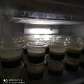 Cooksnap dari Yun Ce untuk resep Puding Coklat + Fla Susu Homemade