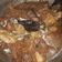 Cooksnap dari Black Jack untuk resep Gongso koyor sapi