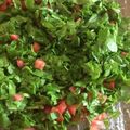 صورة من وردة دمشقية 💚🌸، شاركها بعد تجربة وصفة سلطة خضار 🥗