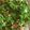 صورة من وردة دمشقية 💚🌸، شاركها بعد تجربة وصفة سلطة خضار 🥗